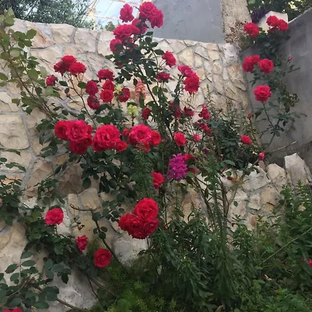 公寓 Perina - Free Parking *