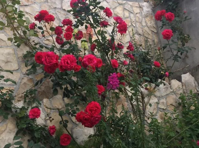 Appartement Perina - Free Parking *